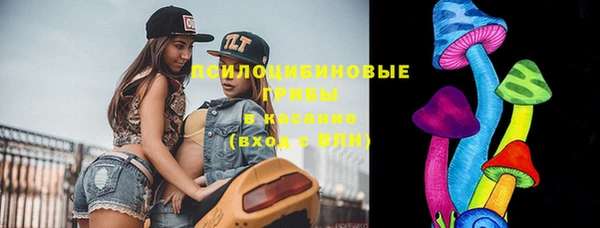 кокс Богородицк
