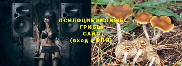 спайс Белокуриха