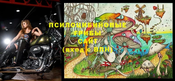 гидропоника Беломорск