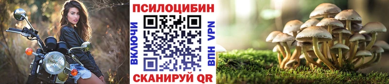 Псилоцибиновые грибы Magic Shrooms Демидов